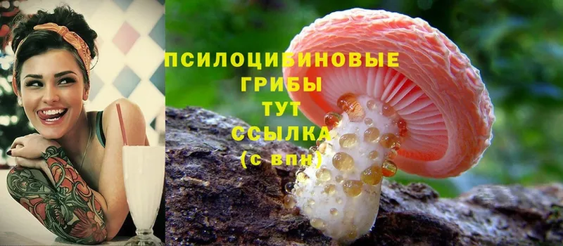 Галлюциногенные грибы MAGIC MUSHROOMS  hydra онион  Хабаровск 